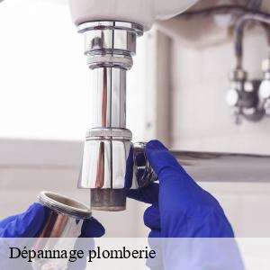Dépannage plomberie severac-44530 CW Plomberie nantais