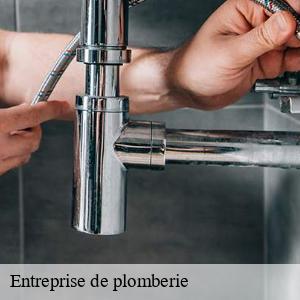 Entreprise de plomberie prefailles-44770 CW Plomberie nantais