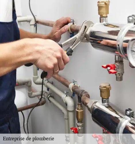 Entreprise de plomberie thouare-sur-loire-44470 CW Plomberie nantais