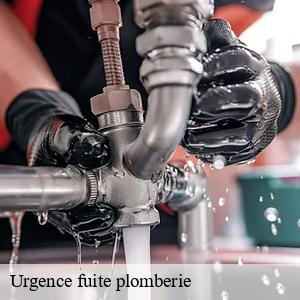 Urgence fuite plomberie le-bignon-44140 CW Plomberie nantais