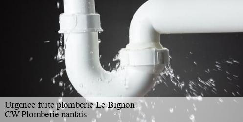 Urgence fuite plomberie le-bignon-44140 CW Plomberie nantais