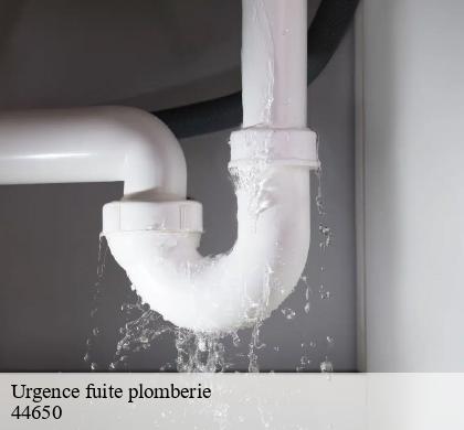 Urgence fuite plomberie lege-44650 CW Plomberie nantais