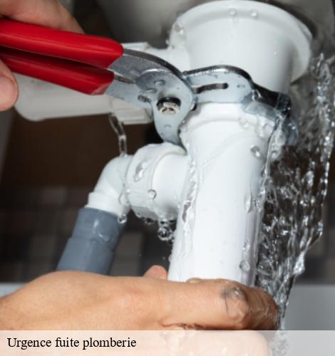 Urgence fuite plomberie sainte-luce-sur-loire-44980 CW Plomberie nantais