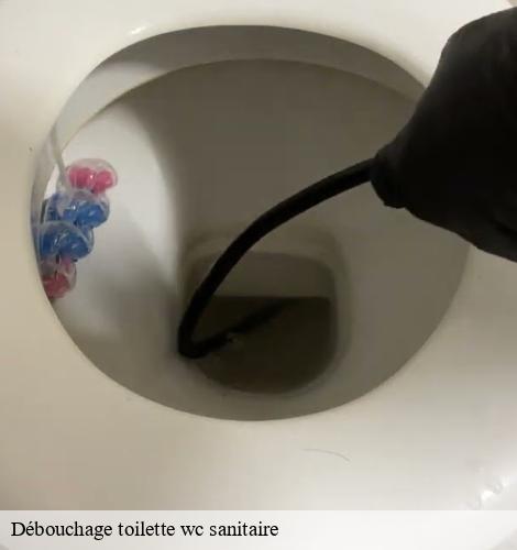 Débouchage toilette wc sanitaire coueron-44220 CW Plomberie nantais