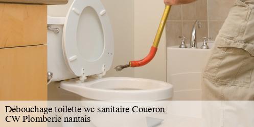 Débouchage toilette wc sanitaire coueron-44220 CW Plomberie nantais