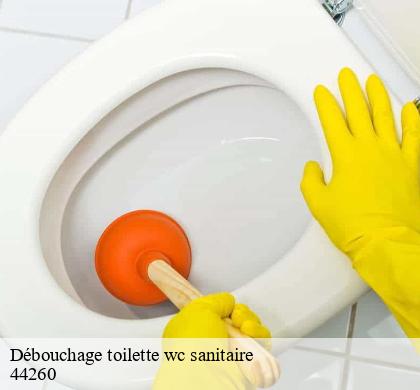 Débouchage toilette wc sanitaire malville-44260 CW Plomberie nantais