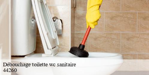 Débouchage toilette wc sanitaire malville-44260 CW Plomberie nantais