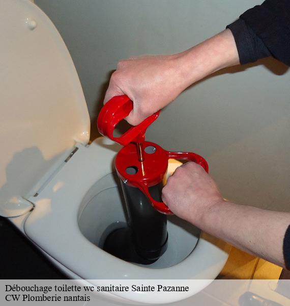 Débouchage toilette wc sanitaire sainte-pazanne-44680 CW Plomberie nantais