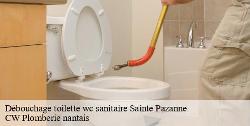 Débouchage toilette wc sanitaire sainte-pazanne-44680 CW Plomberie nantais