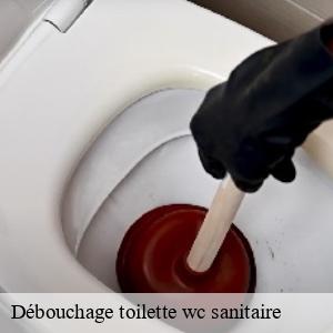 Débouchage toilette wc sanitaire sion-les-mines-44590 CW Plomberie nantais