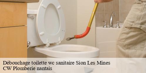Débouchage toilette wc sanitaire sion-les-mines-44590 CW Plomberie nantais