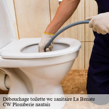 Débouchage toilette wc sanitaire la-benate-44650 CW Plomberie nantais