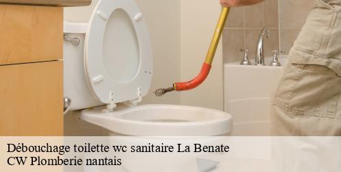 Débouchage toilette wc sanitaire la-benate-44650 CW Plomberie nantais
